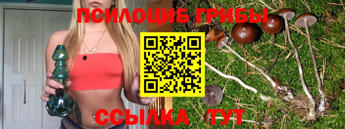 Псилоцибиновые грибы мухоморы  Вход с VPN  купить закладку  Аша 