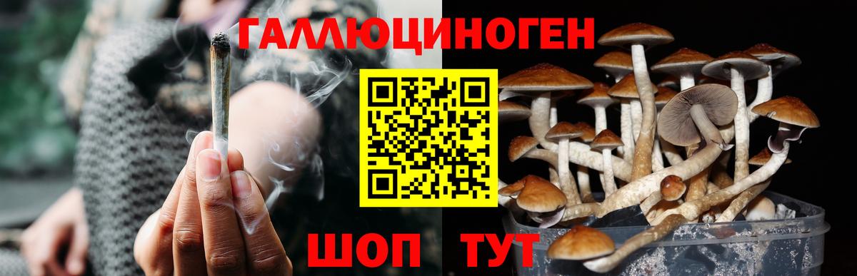Псилоцибиновые грибы прущие грибы Аша